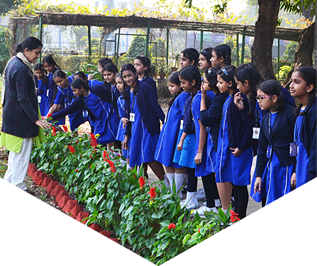 slideshow2